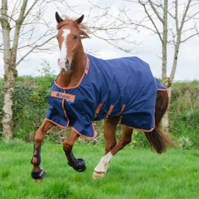 Abbildung von Bucas X Range Turnout