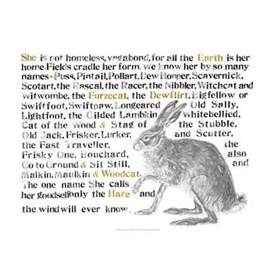 Abbildung von Jackie Morris the Names of Hare Poster