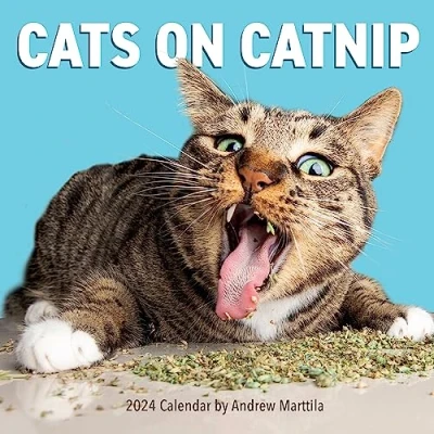 Abbildung von Cats on Catnip Wall Calendar 2024: A Year of Living the High Life and Feeling Niiiiice