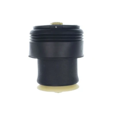 Abbildung von DENCKERMANN DSA118G Luftfeder, Fahrwerk Hinterachse BMW: X5, X6