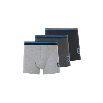 Abbildung von Jan Vanderstorm 3ER PACK Retro Veljor Panties, Herren, Größe: Large, Grau