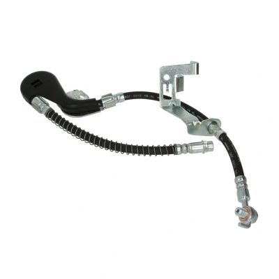 Abbildung von DELPHI LH6871 Bremsschläuche Banjo PEUGEOT: 407 SW, Limousine, Coupe, CITROËN: C5 III Kombi, 3, C6 Limousine