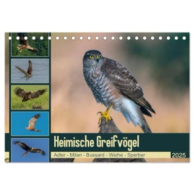 Abbildung von Heimische GREIFVÖGEL Adler Milan Bussard Weihe Sperber (Tischkalender 2025 DIN A5 quer), CALVENDO Monatskalender