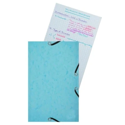 Abbildung von Exacompta Ref. 55577E Karton mit 10 Dokumentenmappen Klappe Gummizug, 14,5 x 22 cm 25 Karteikarten, 12,5 20 cm, 205 g zufällige Farbauswahl die Mappe ist immer in der Farbe