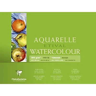 Abbildung von Clairefontaine 96464C Malblock, 4 seitig verleimt Aquarellpapier Grobkorn Torchon, Etival/Zellulose, 42 x 56 cm, 25 Blatt, 300 g Packung, weiß