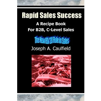 Abbildung von Rapid Sales Success: A Recipe Book For B2B, C Level