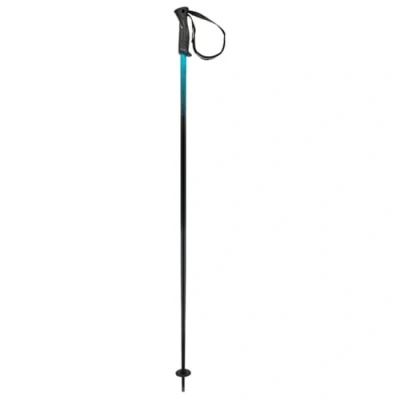Abbildung von HEAD Unisex Adult Frontside Black Speed blu Skistöcke, 135