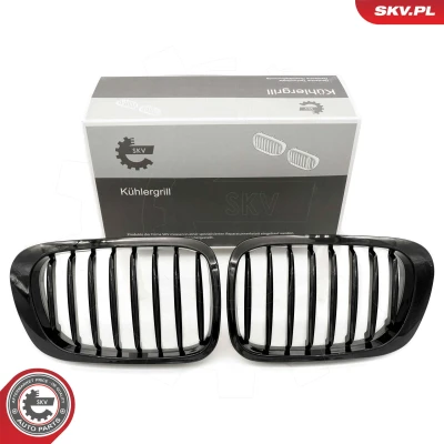 Abbildung von ESEN SKV 66SKV055 Kühlergrill glänzend, schwarz BMW: 3 Coupe