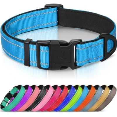 Abbildung von Joytale Halsband Hund, Gepolstertes Hundehalsband Breit aus Neopren Nylon Verstellbar für Kleine Hunde, Weich und Reflektierend Hundehalsbänder, S, Blau