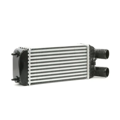 Abbildung von RIDEX 468I0135 Ladeluftkühler PEUGEOT: 2008 Kombi, 207 SW, CC, CITROËN: DS3 Schrägheck, C3 Picasso