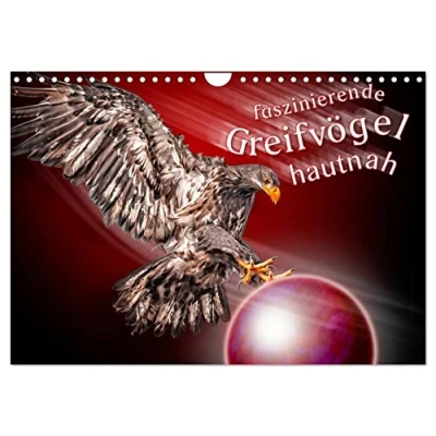 Abbildung von Faszinierende Greifvögel hautnah (Wandkalender 2025 DIN A4 quer), CALVENDO Monatskalender