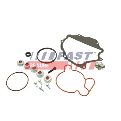 Abbildung von FAST FT36032 Reparatursatz Vakuumpumpe