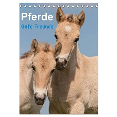 Abbildung von Pferde Gute Freunde (Tischkalender 2025 DIN A5 hoch), CALVENDO Monatskalender