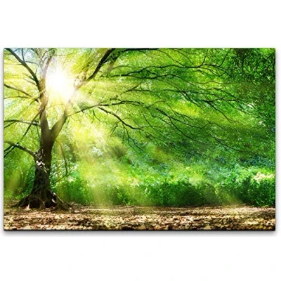 Abbildung von bestforhome 120x80cm Leinwandbild Alter Baum im Wald mit Sonnenstrahlen Leinwand auf Holzrahmen