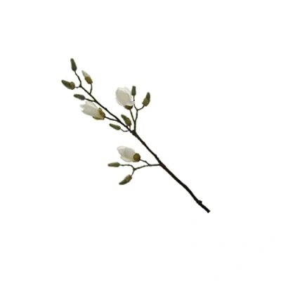 Abbildung von Fink künstlicher Magnolienzweig Weiss Kunstfaser Farbe: Natur Höhe 82 cm