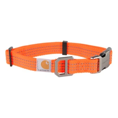 Abbildung von Carhartt Unisex&#039;s Dog Collar, Hunter Orange, L