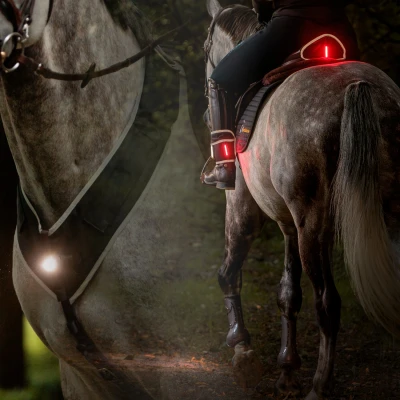 Abbildung von Kavalkade Horselight Set IIVerkauft von HypoStore