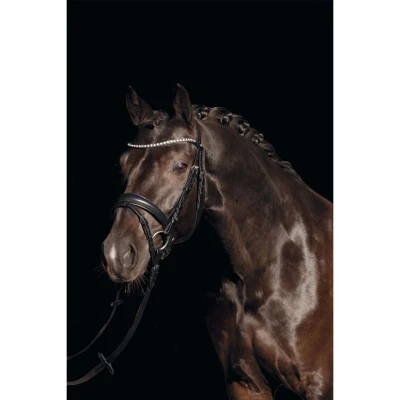 Abbildung von HKM Trense Bella Schwarz Pony