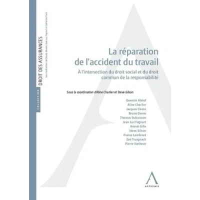 Abbildung von la réparation de l&#039;accident du travail: À l&#039;intersection droit social et commun responsabilité