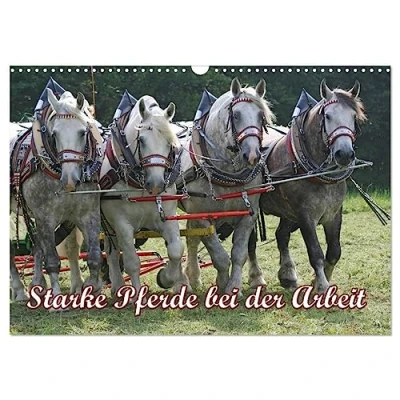 Abbildung von Starke Pferde bei der Arbeit (Wandkalender 2025 DIN A3 quer), CALVENDO Monatskalender