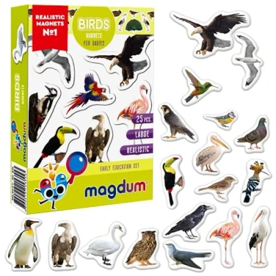Abbildung von Magdum 25 Vögel FOTO Magnete Kinder für magnettafel Magnet Spielzeug Kühlschrankmagnete Kühlschrank set ab 3 jahre Lernspiele