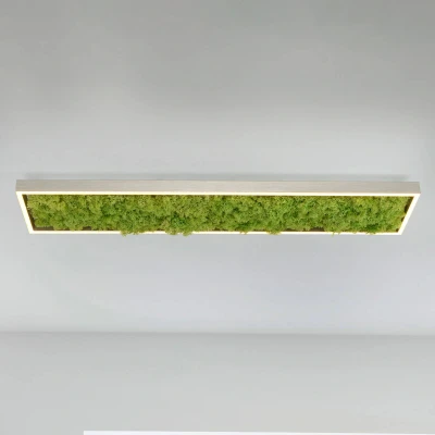 Abbildung von JUST LIGHT Deckenleuchte GREEN KNUT, LED fest integriert, Warmweiß