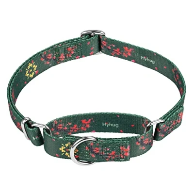 Abbildung von Hyhug Fabelhaftes Halsband mit Hunden, die Haustiere entfliehen, verbessertes, ausbruchsicheres Martingale für Hunde, den täglichen Gebrauch, Spazierengehen und Training