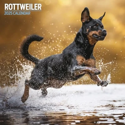 Abbildung von Rottweiler Traditioneller Kalender 2025