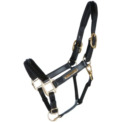 Abbildung von HB Showtime Halfter Horse Name Leder Braun Vollblut
