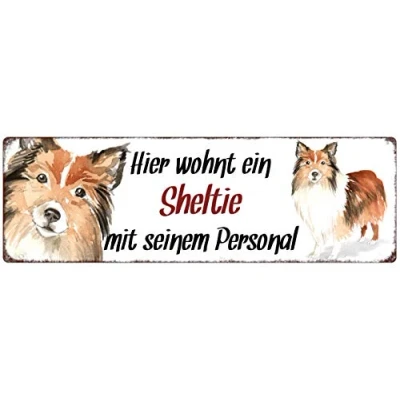Abbildung von Interluxe Metallschild Hier wohnt EIN Sheltie dekoratives Schild, Türschild, Blechschild als Geschenk für Menschen mit Hund
