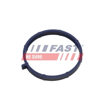 Abbildung von FAST FT49467 Ansaugkrümmerdichtung FORD: Transit Mk6 Kastenwagen, Bus, Pritsche/Fahrgestell