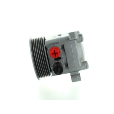 Abbildung von Hydraulikpumpe, Lenkung SPIDAN 54888