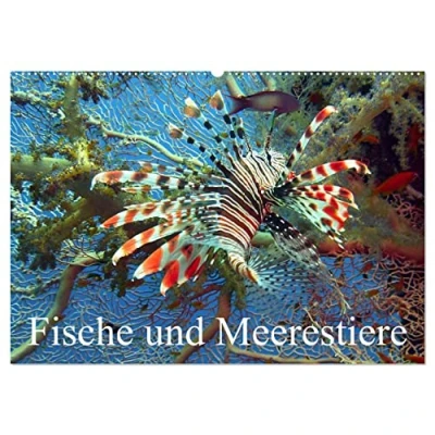 Abbildung von Fische und Meerestiere (Wandkalender 2025 DIN A2 quer), CALVENDO Monatskalender