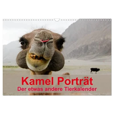 Abbildung von Kamel Porträt (Wandkalender 2025 DIN A3 quer), CALVENDO Monatskalender