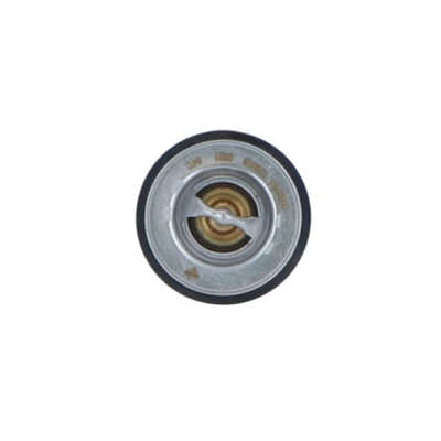 Abbildung von NRF 725213 Kühlwasserthermostat 84 mit Dichtring ohne Gehäuse VOLKSWAGEN: GOLF 3, Polo III Schrägheck, 3 Variant, SEAT: Leon I Arosa