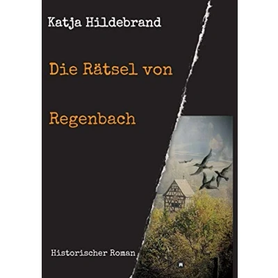 Abbildung von Die Rätsel von Regenbach: Historischer Roman