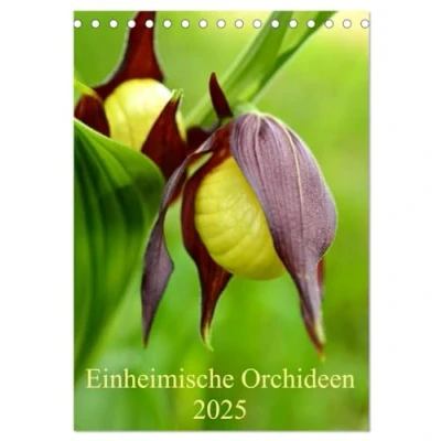 Abbildung von Einheimische Orchideen (Tischkalender 2025 DIN A5 hoch), CALVENDO Monatskalender