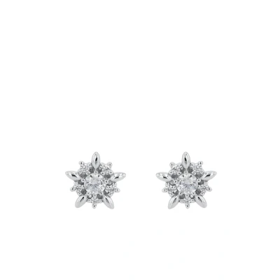 Abbildung von Amor Ohrstecker 925 Sterling Silber Damen Ohrschmuck, mit Zirkonia synth., 0,8 cm, Silber, Stern, Kommt in Schmuck Geschenk Box, 2026272
