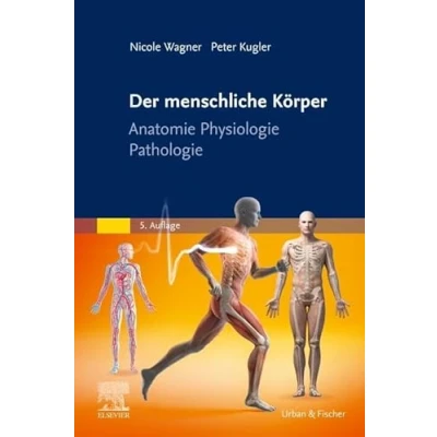 Abbildung von Der menschliche Körper: Anatomie Physiologie Pathologie