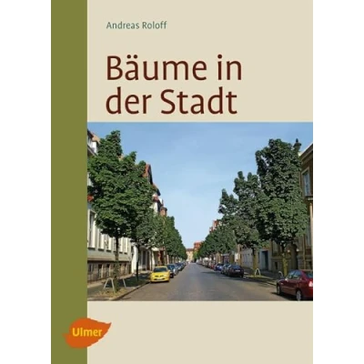 Abbildung von Bäume in der Stadt: Besonderheiten, Funktion, Nutzen, Arten, Risiken