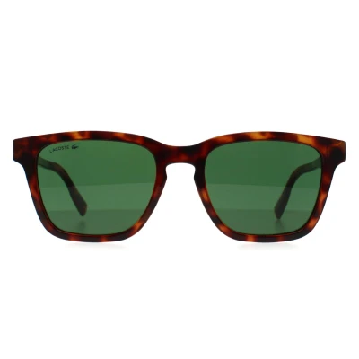 Abbildung von Lacoste Herren L987S 240 Sonnenbrillen Bio Injekt Braun Grün Quadratisch Photochromatisch
