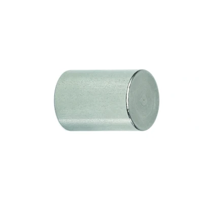 Abbildung von MAUL Magnete Ø 2,0 x 2,5 cm, 3,5 silber