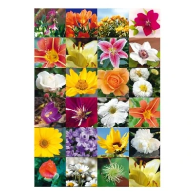 Abbildung von HERMA 3077 Aufkleber Blumen klein groß, 72 Stück, Pflanzen Sticker mit Blume Motiv, Kinder Etiketten für Fotoalbum Tagebuch Poesiealbum Scrapbooking Geburtstag Dekoration Briefe DIY Basteln