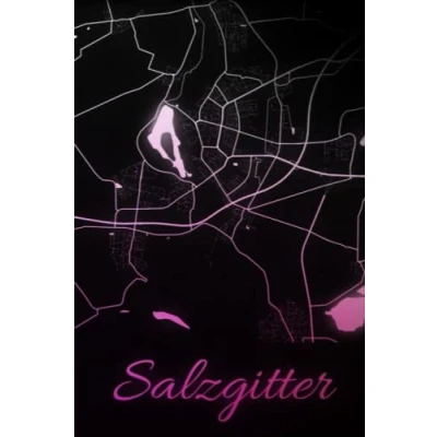 Abbildung von Salzgitter: deine Stadt, Region, Heimat! Notizbuch DIN A5 blanko 120 Seiten Geschenk