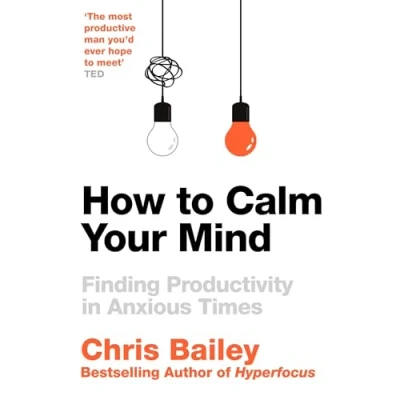 Abbildung von How to Calm Your Mind: Finding Productivity in Anxious Times