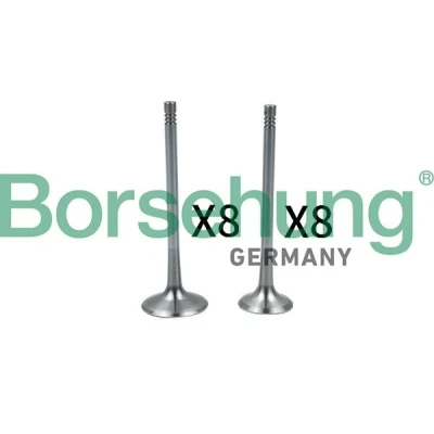 Abbildung von Borsehung B18637 Einlaßventil VOLKSWAGEN: Polo IV Schrägheck, Golf 4 5 AUDI: A5 B8 Coupe, A3 A4 Avant