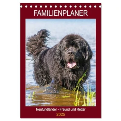 Abbildung von Familienplaner Neufundländer Freund und Retter (Tischkalender 2025 DIN A5 hoch), CALVENDO Monatskalender