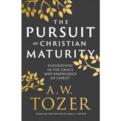 Abbildung von the Pursuit of Christian Maturity: Flourishing in Grace and Knowledge Christ