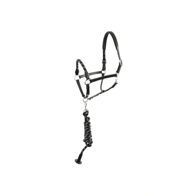 Abbildung von BR Halfter Set Dundee Full Schwarz / Silber