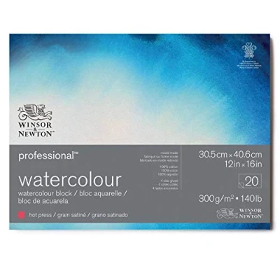 Abbildung von Winsor &amp; Newton 6664008 Professional Aquarellpapier im Block 20 Blatt 30,5 x 40,6cm, 300g/m², Satiniert, helles natürliches weißes Papier in archivierbarer Qualität, gilbbeständig